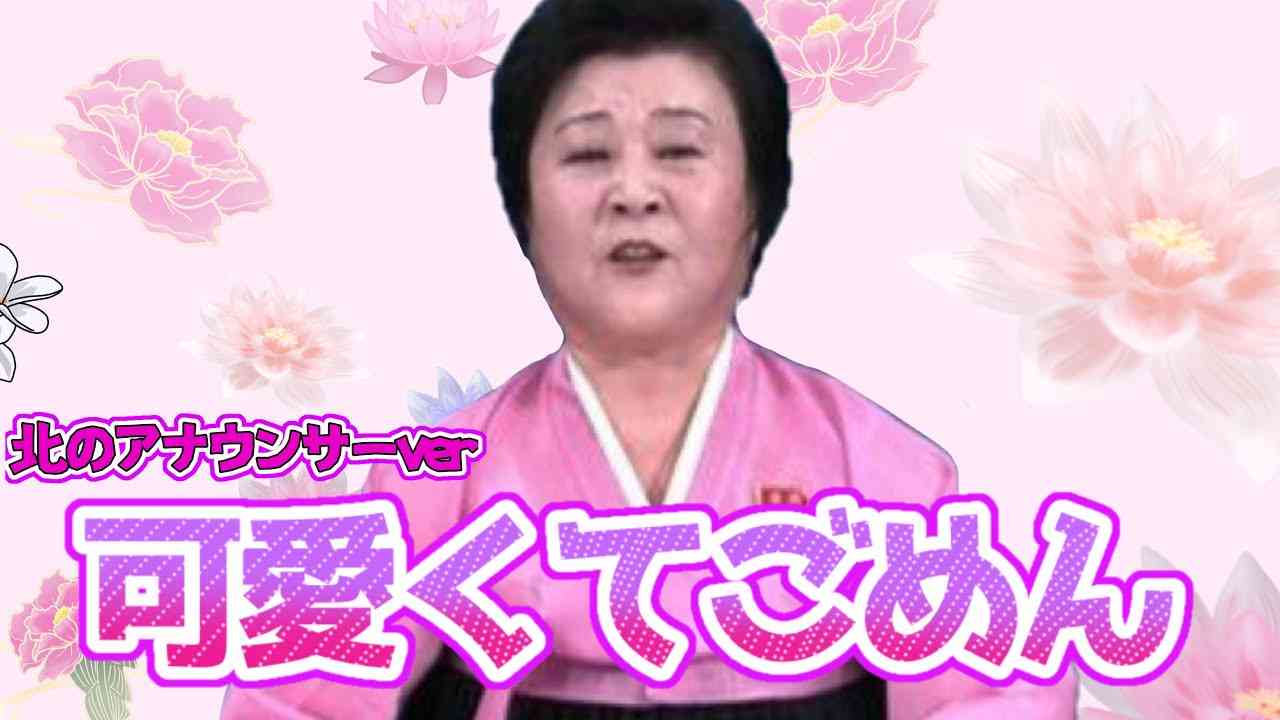 【可愛くてごめん】北のアナウンサーが歌ってみたら面白すぎて腹筋崩壊www - YouTube