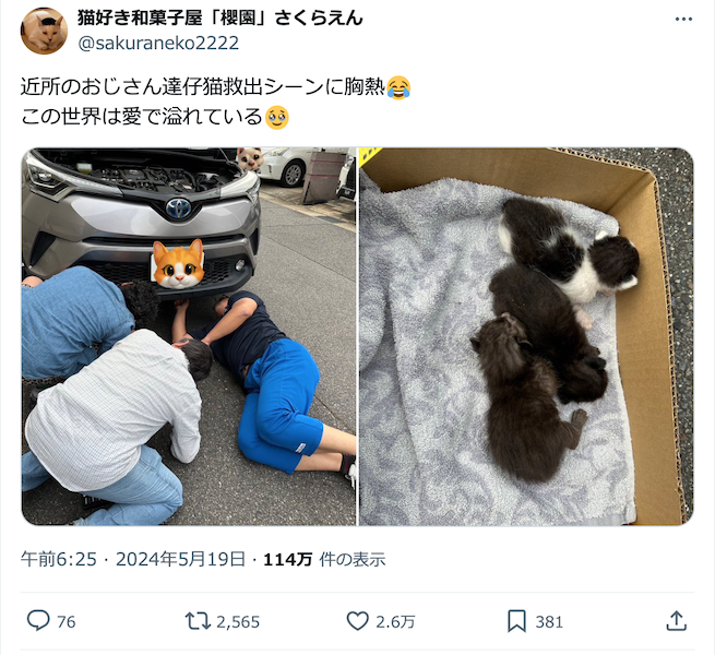 車のエンジンルームから子猫の鳴き声!「近所のおじさん達」が救出する姿に反響 その後の状況を聞いた
