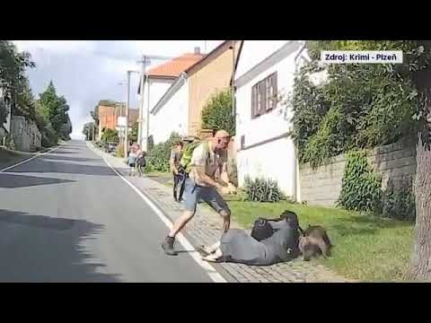 ピットブルが自宅の敷地から出て、小型犬に襲いかかる衝撃映像 - YouTube