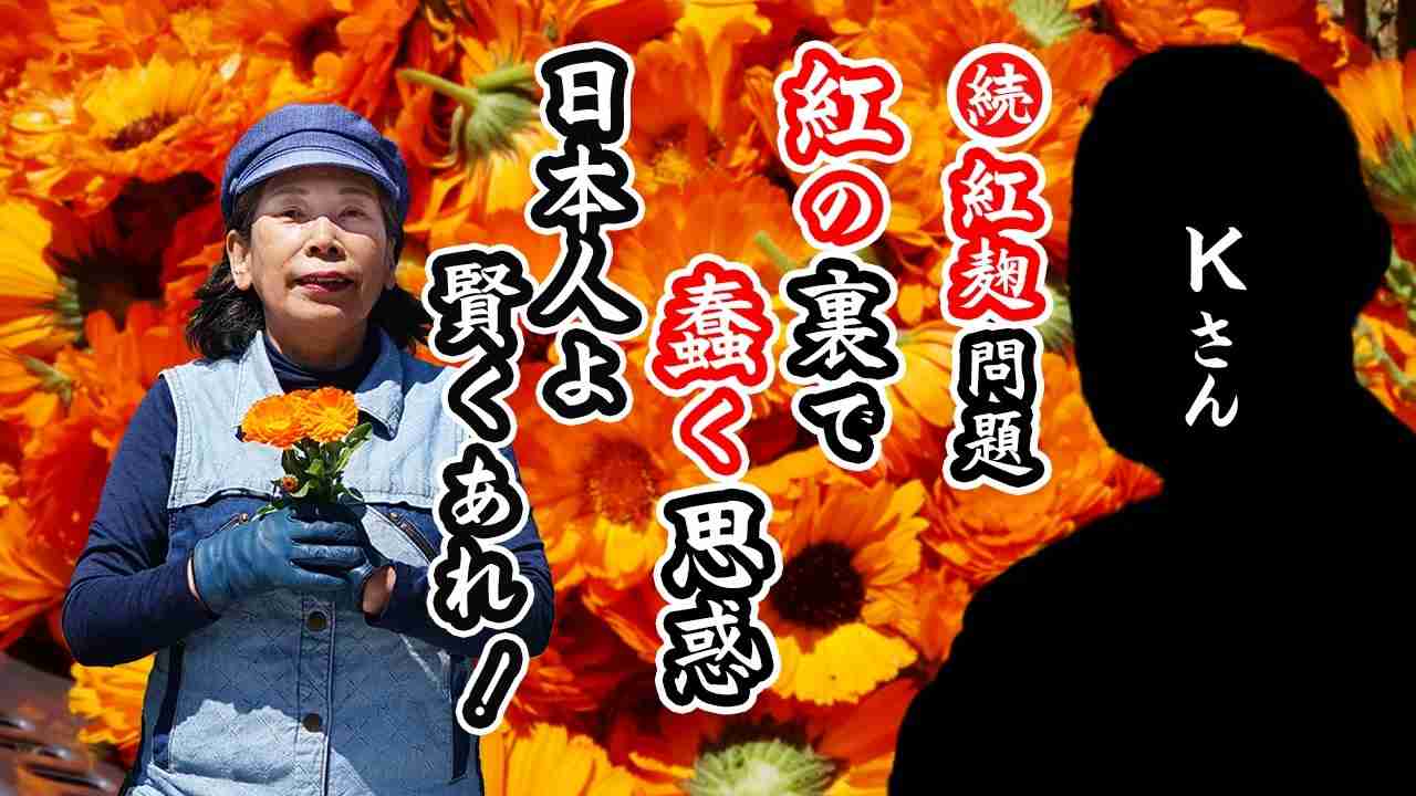 小林製薬 紅麹事件の真相 - ニコニコ動画