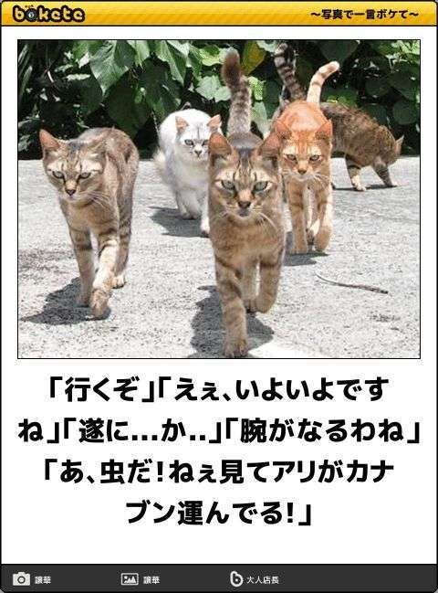 空気読めないとできないこと