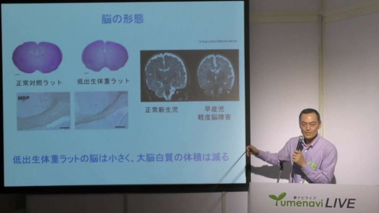 食事でこんなに変わる、脳の発達や病気  / 京都女子大学　辻 雅弘先生 - YouTube