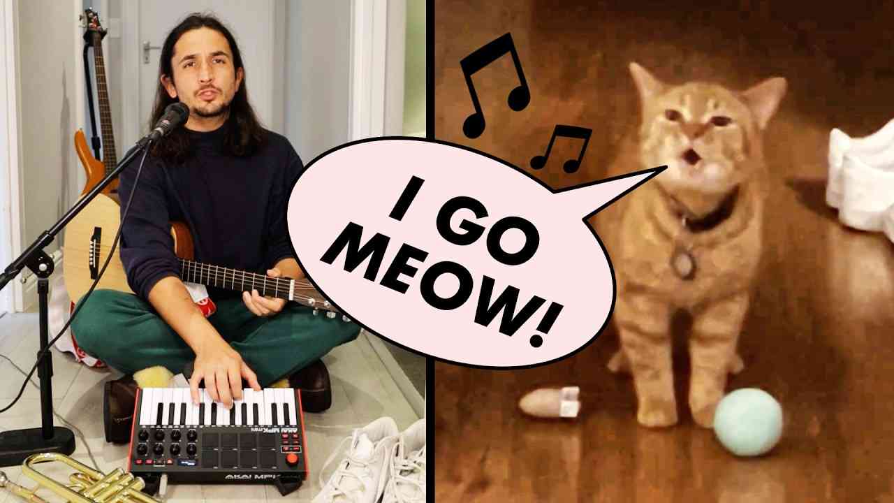The Kiffness x Cala - I Go Meow (Singing Cat) - YouTube