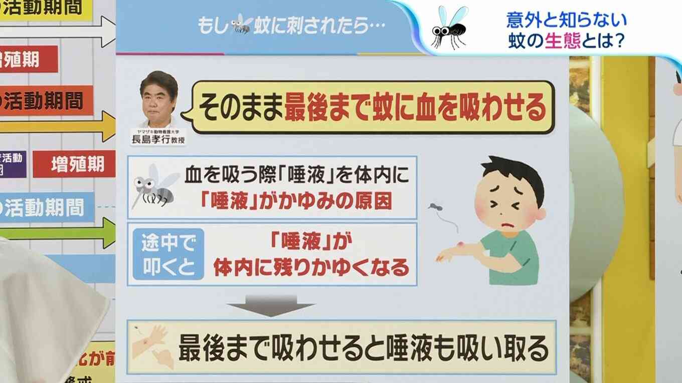 早くも「蚊」の被害続出!『早い・多い・しつこい』今年の蚊の傾向を専門家が解説