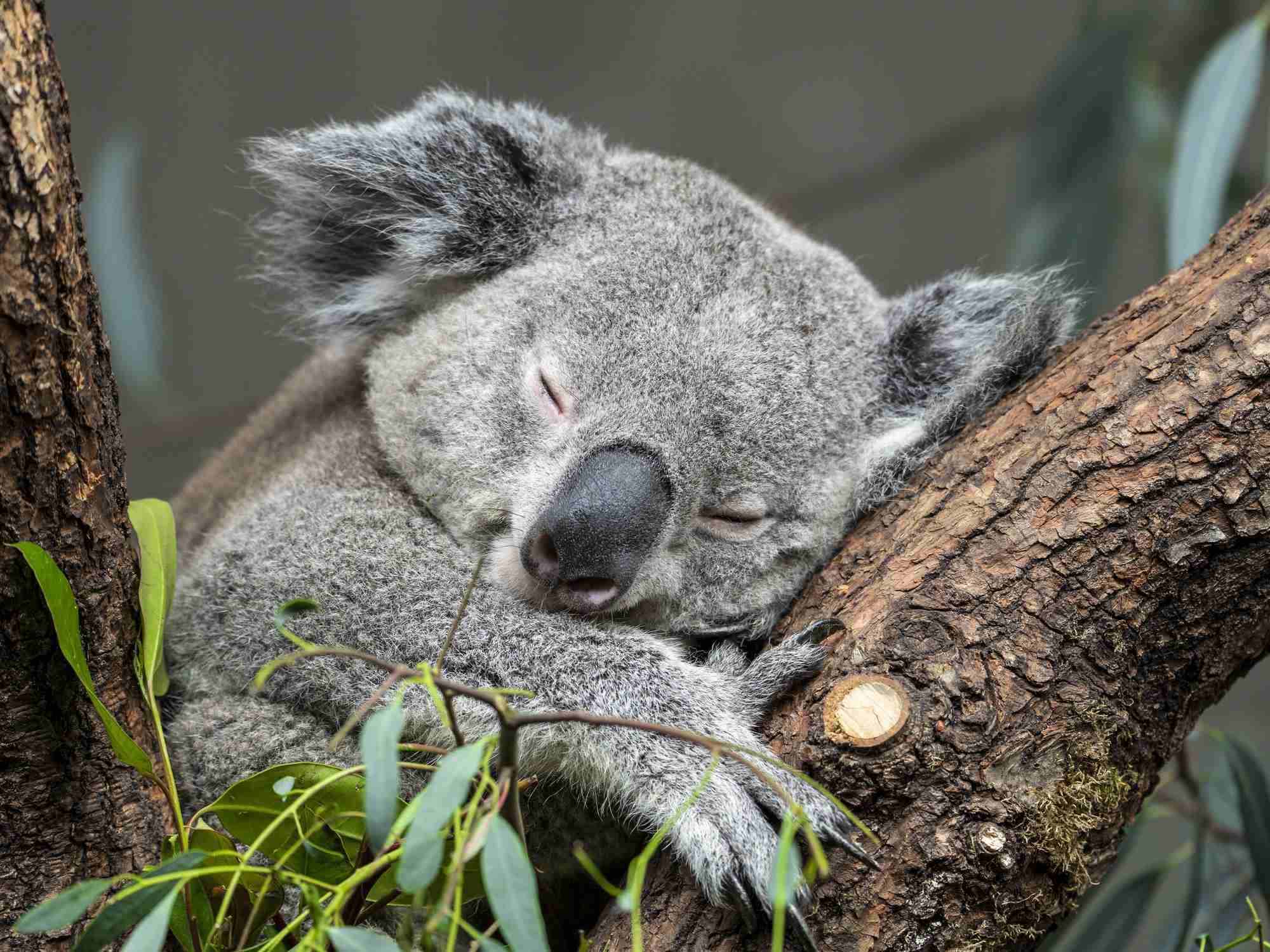 1日の中で一番、眠たい時間 | ガールズちゃんねる - Girls Channel
