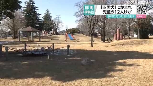 群馬 伊勢崎 犬にかまれ１２人けが 飼い主“申し訳ない”｜NHK 首都圏のニュース