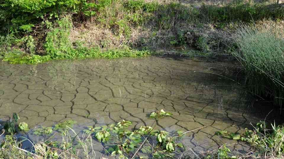 リニア工事で水位低下、岐阜県が首長会議開催へ　沿線７市町と連携（岐阜新聞Ｗｅｂ） - Yahoo!ニュース