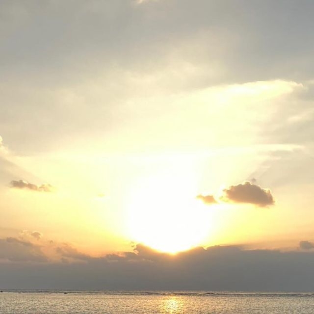 Cocco Official | 2024 春の嵐が過ぎて 無理に頑張るのは、やめようと思ったお話　昨年春に... | Instagram