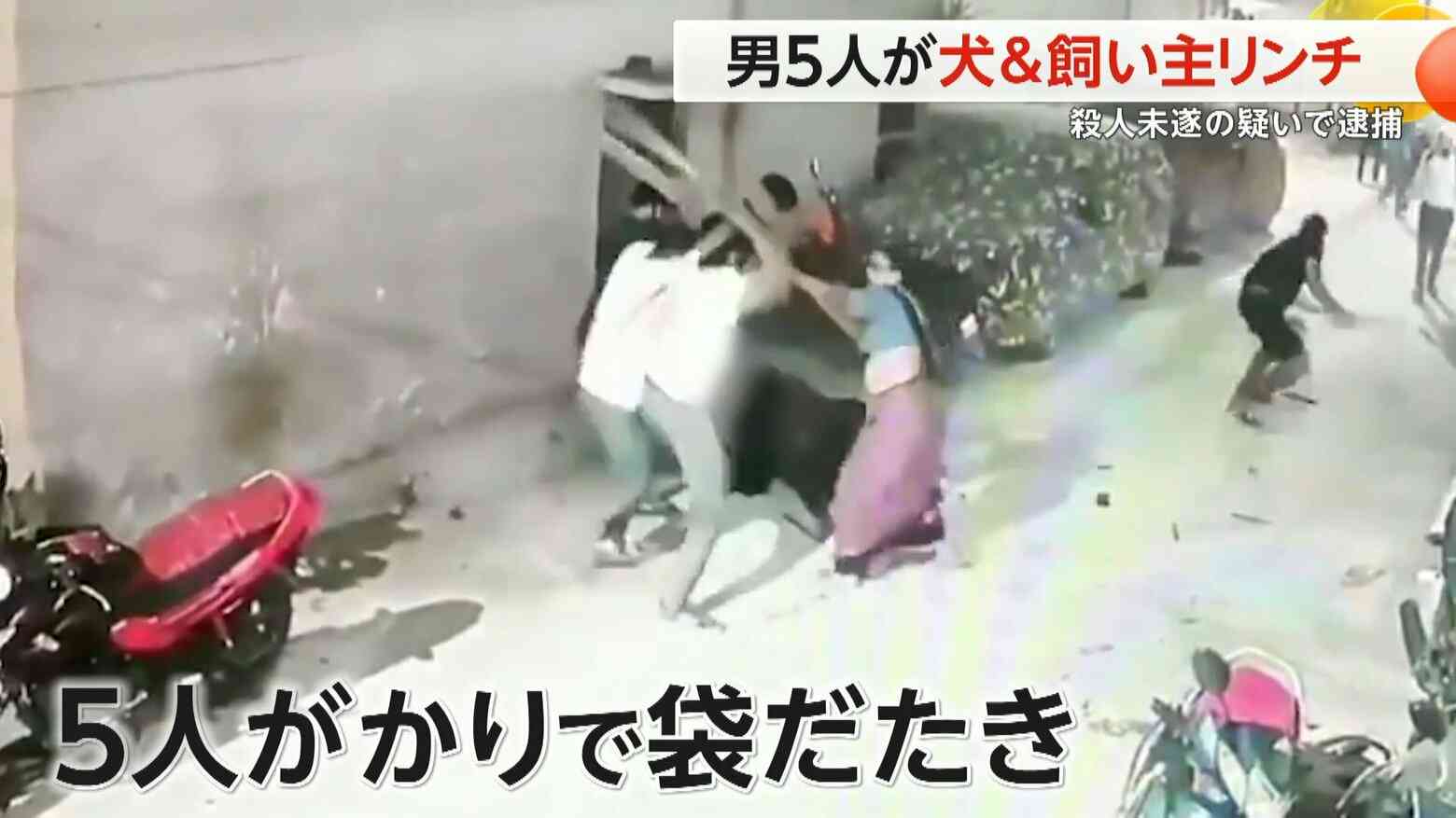 【犬】公園のノーリード