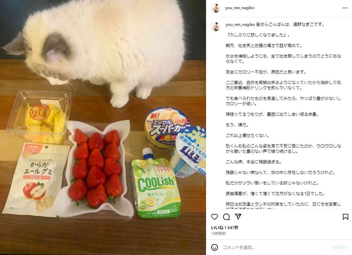 摂食障害公表の遠野なぎこ、“水分も取れない”ほどの体調不良に「頑張ってるつもりが減る体重」「完全にカロリー不足が原因」と悲痛　愛猫の行動にも異変