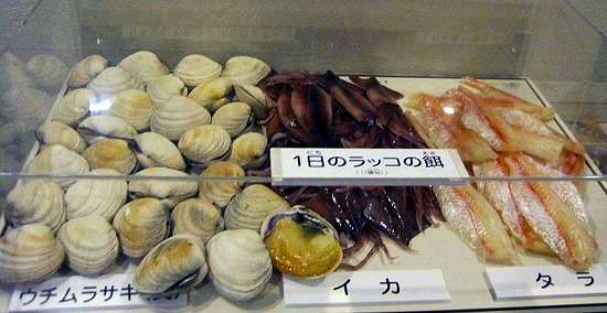 ラッコも「草食化」か、オスが求愛しなくなり飼育数減少…数年後には日本の水族館からいなくなる?