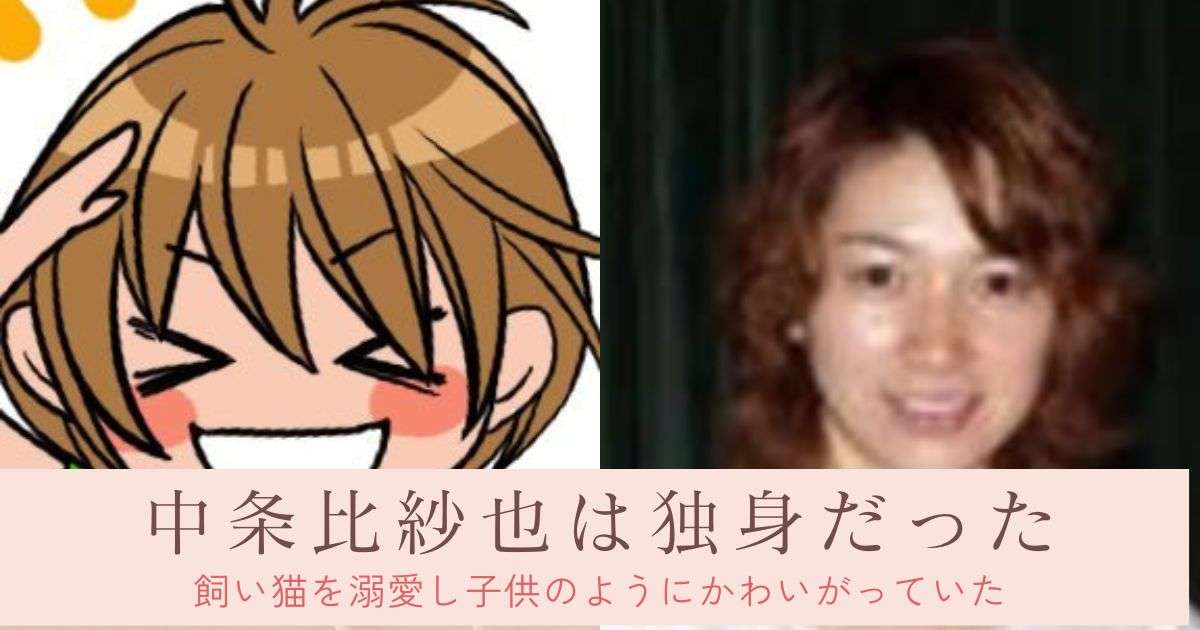 中条比紗也は結婚していない!子供もおらず猫を溺愛していた!
