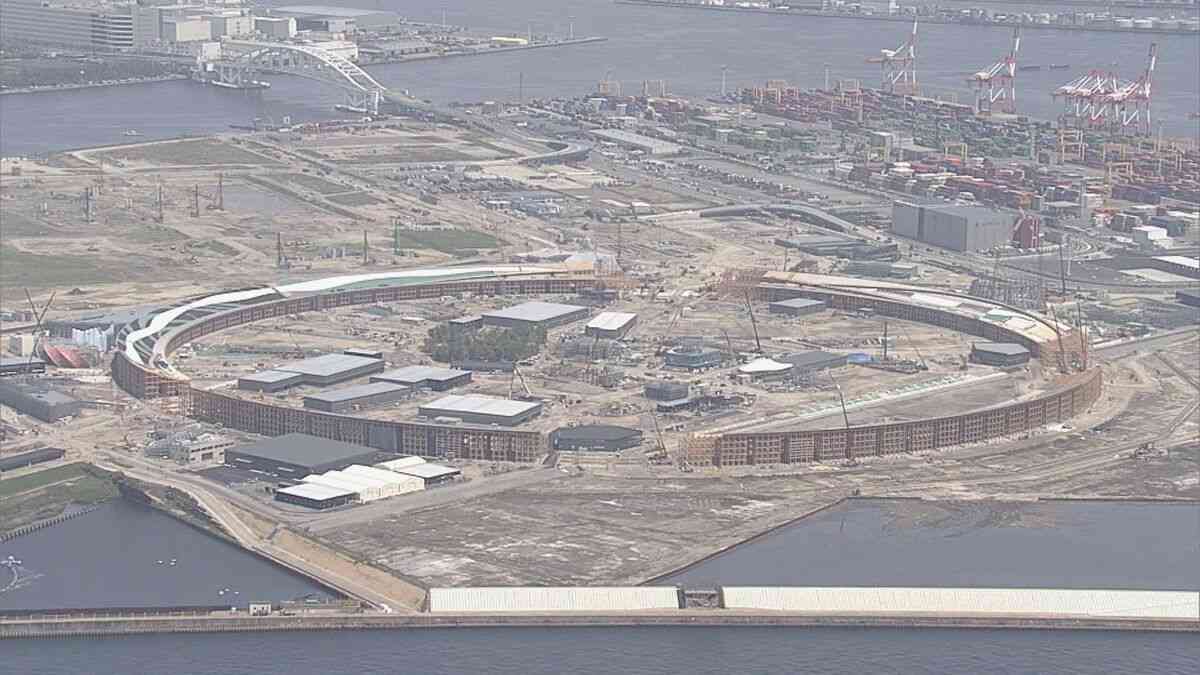 【独自】大阪・関西万博の会場・夢洲で「ヒアリ」約５０匹見つかる　コンテナターミナルに　国などが調査へ | TBS NEWS DIG