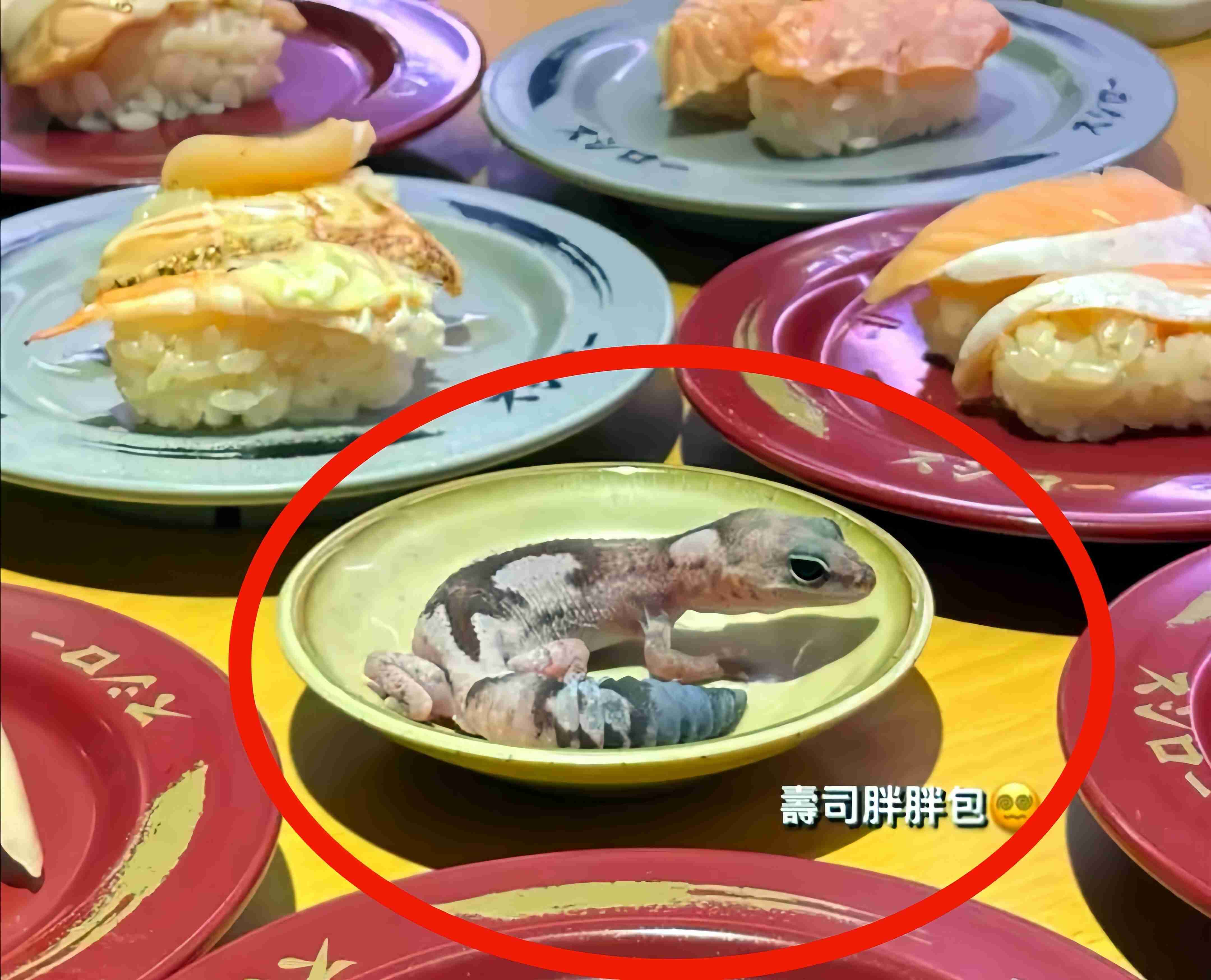 【画像注意】台湾スシローのしょうゆ皿にヤモリ、「とんでもない額」の賠償を求められる可能性―台湾メディア