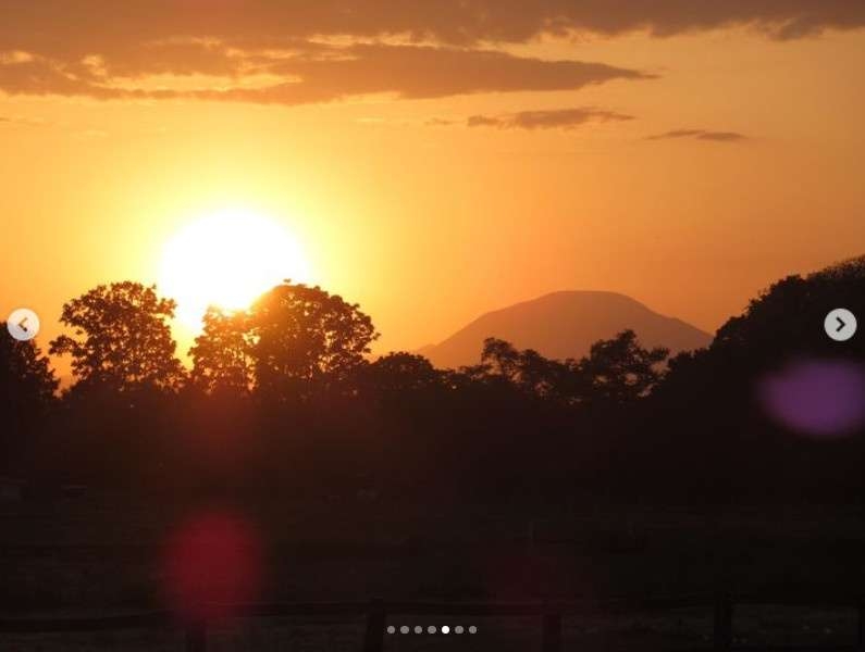 天皇陛下が撮影された“貴重なオフショット”が公開される　投稿1時間以内に“驚異の4万5000いいね”