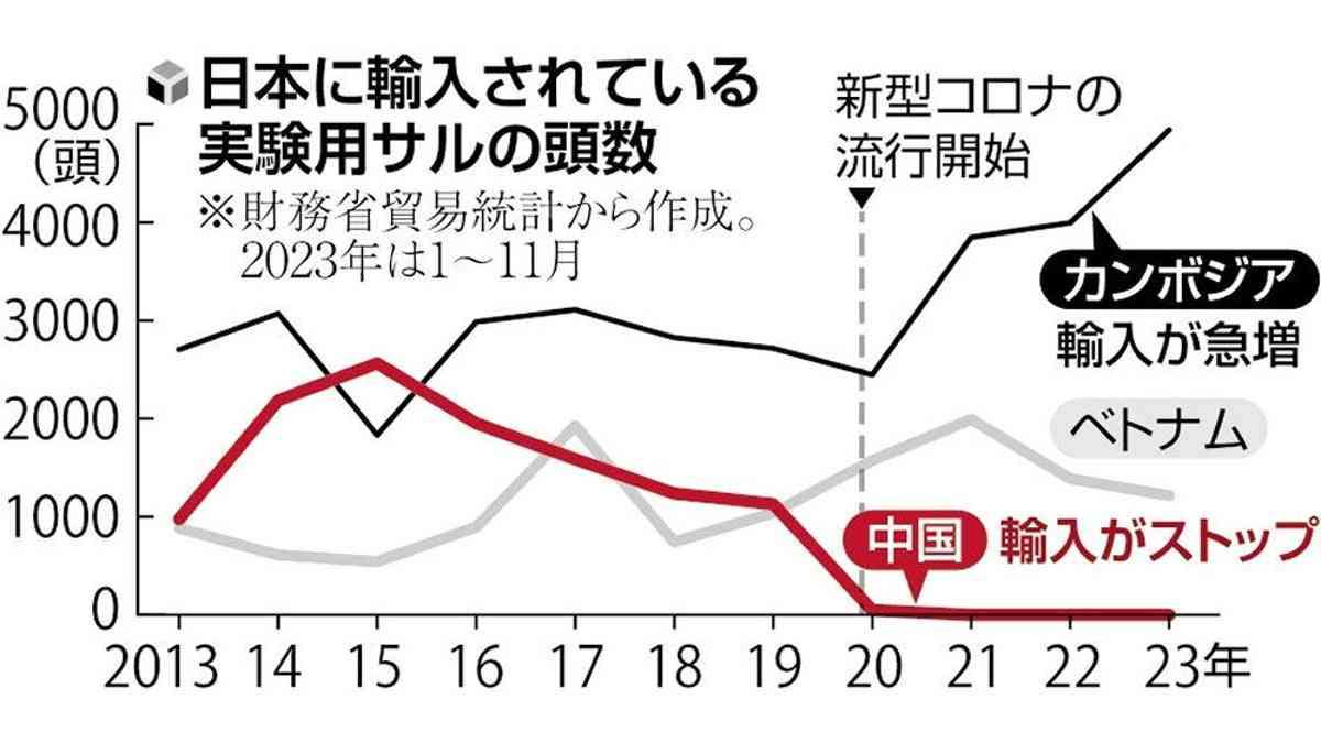 実験用サルの価格、コロナ流行前の5倍に高騰…中国輸出停止の影響か「20頭で1億円以上必要」