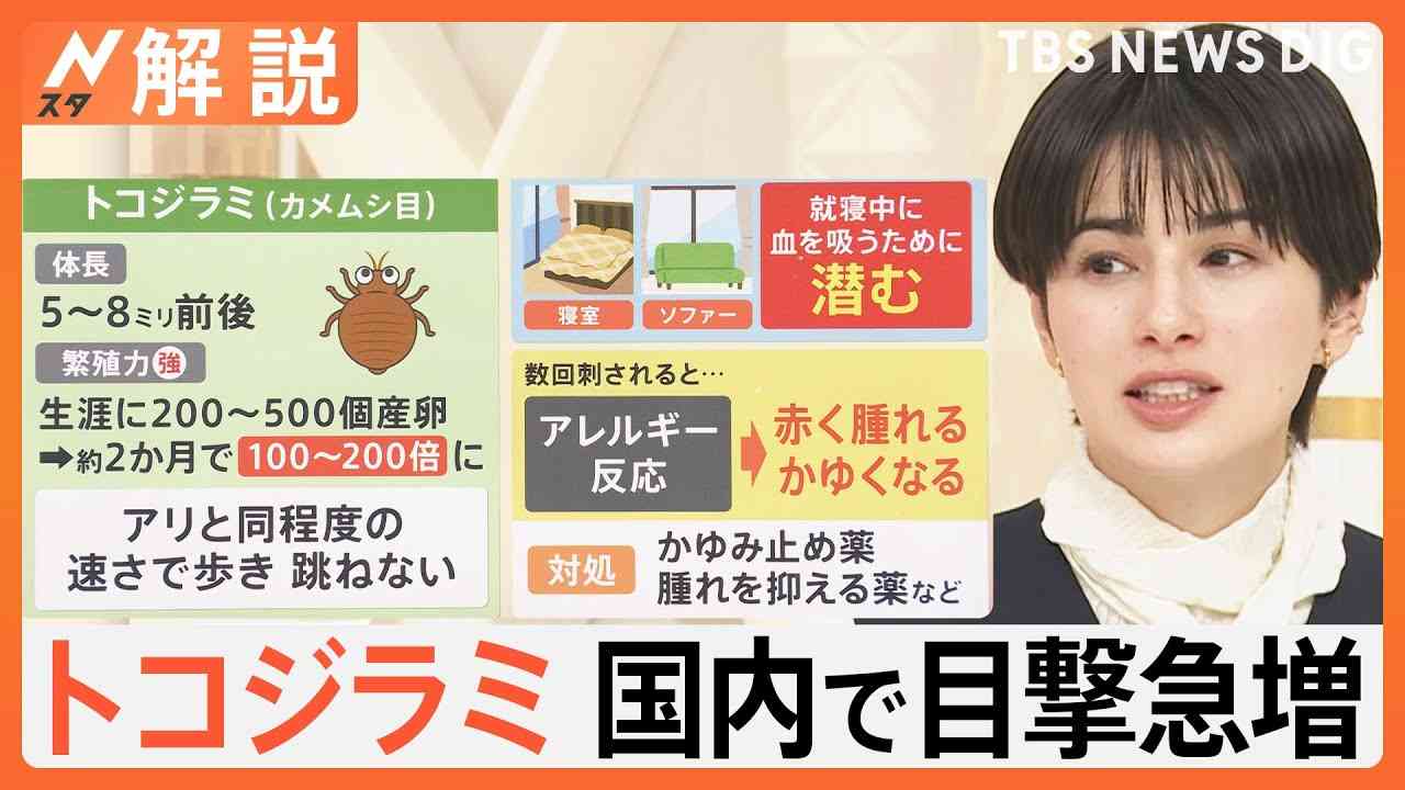 電車内でも“トコジラミ”目撃情報 就寝中に「吸血」･･･被害から身を守るには？弱点は「光」と「熱」【Nスタ解説】｜TBS NEWS DIG - YouTube