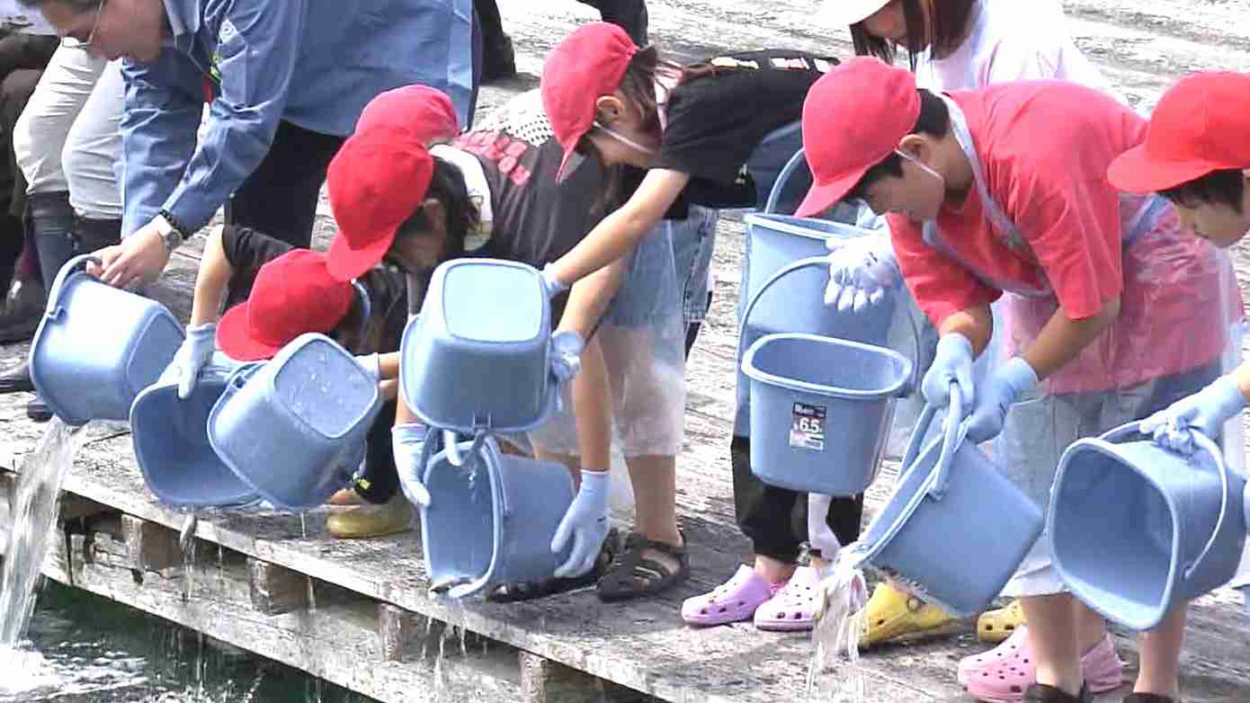 天皇皇后両陛下ご臨席「全国豊かな海づくり大会」に向け　児童がマダイの稚魚放流　三重・南伊勢町（三重テレビ放送） - Yahoo!ニュース