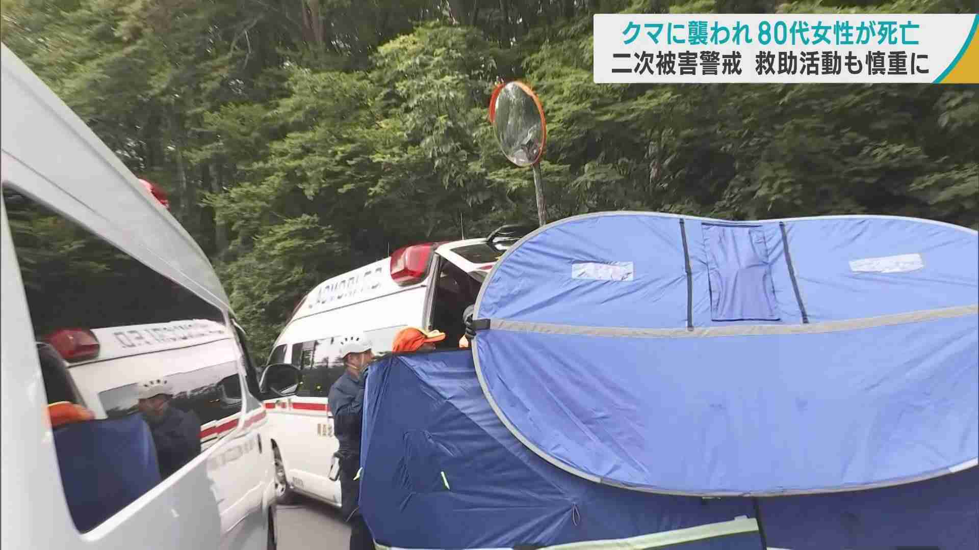 八甲田でクマに襲われ80代女性が死亡　二次被害警戒　救助活動も慎重に／青森市（ABA青森朝日放送） - Yahoo!ニュース