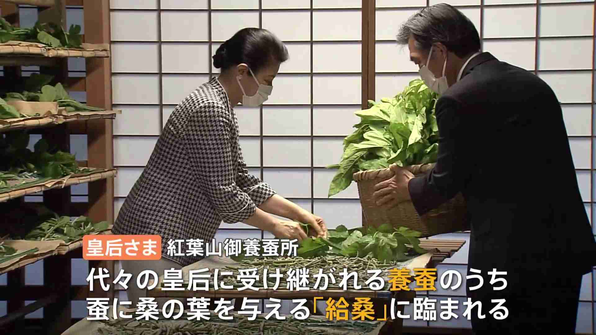 皇后さまの養蚕　蚕に桑を与える「給桑」に楽しそうに臨まれる（TBS NEWS DIG Powered by JNN） - Yahoo!ニュース