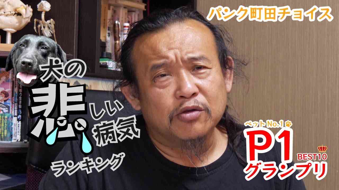 【ベスト10】犬の悲しい病気ランキング【P1グランプリ】 - YouTube