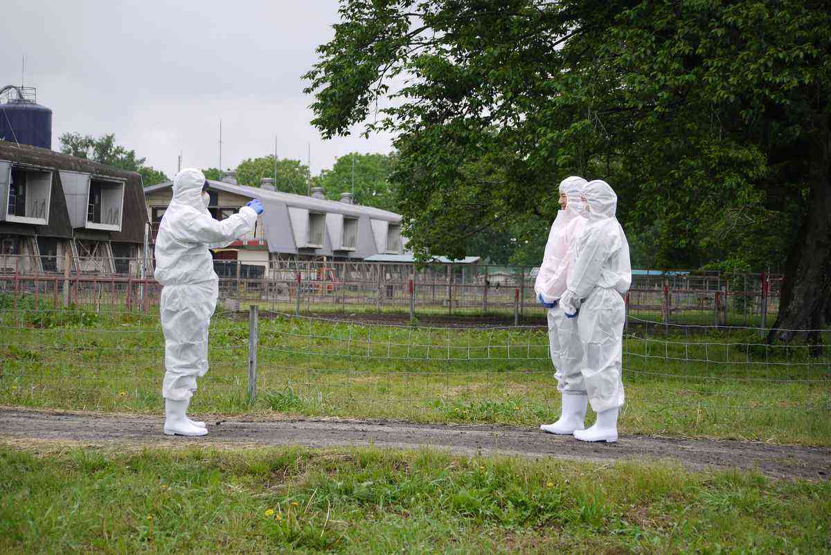 天皇陛下が撮影された“貴重なオフショット”が公開される　投稿1時間以内に“驚異の4万5000いいね”