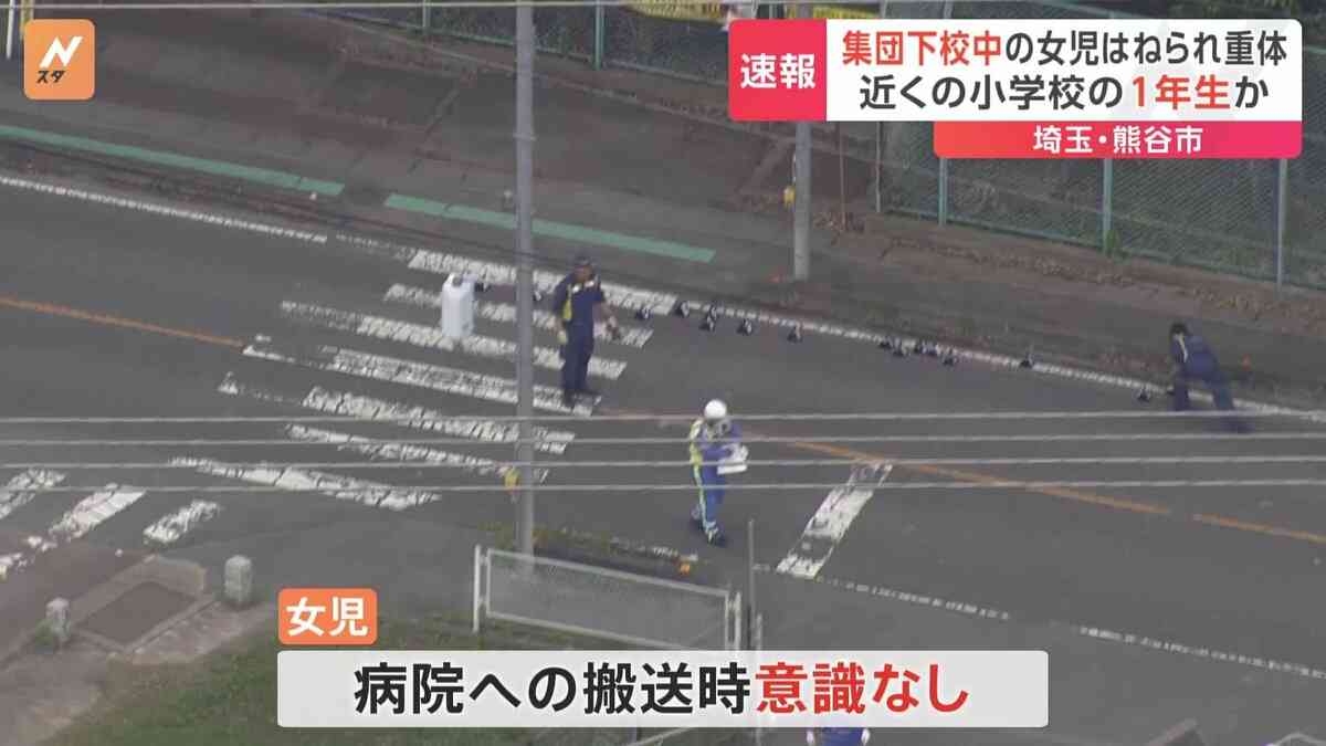 「小学校1年生の女児が頭をけがし出血がある」集団下校中の女の子が車にはねられる　運転の84歳男を現行犯逮捕　埼玉・熊谷市