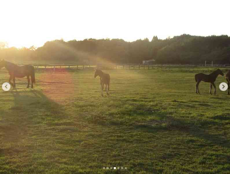 天皇陛下が撮影された“貴重なオフショット”が公開される　投稿1時間以内に“驚異の4万5000いいね”