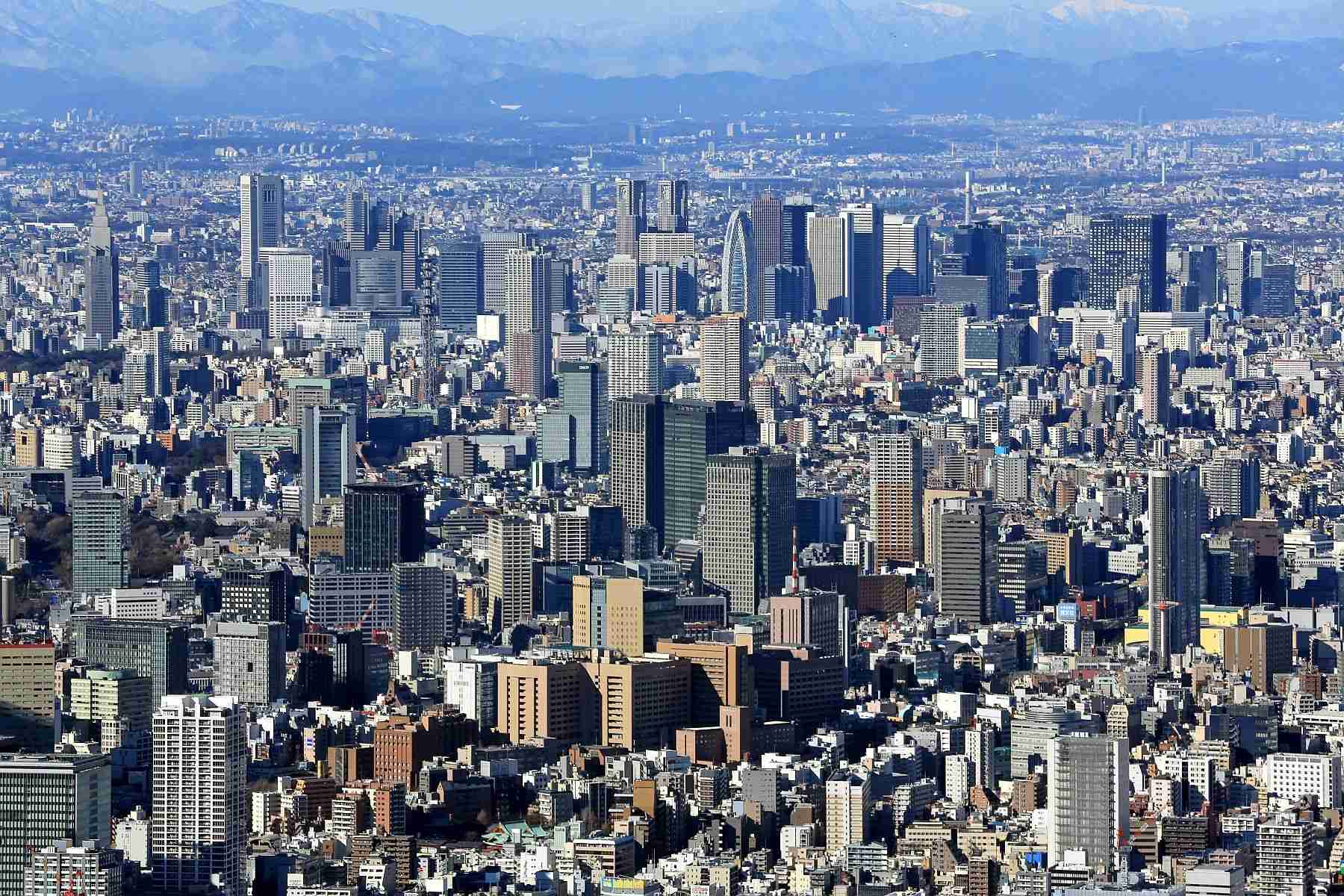 【異様】1万羽「カワウ」大群に近隣住民も困惑「臭いがキツイ」　常に群れで行動する習性に“悪臭被害”深刻　千葉・市川市