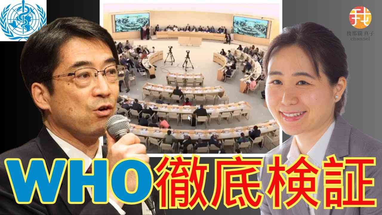 3/6 19時〜【生配信】WHO議事録で判明！ルール破りの改正に加盟国も怒る　林千勝先生インタビュー - YouTube