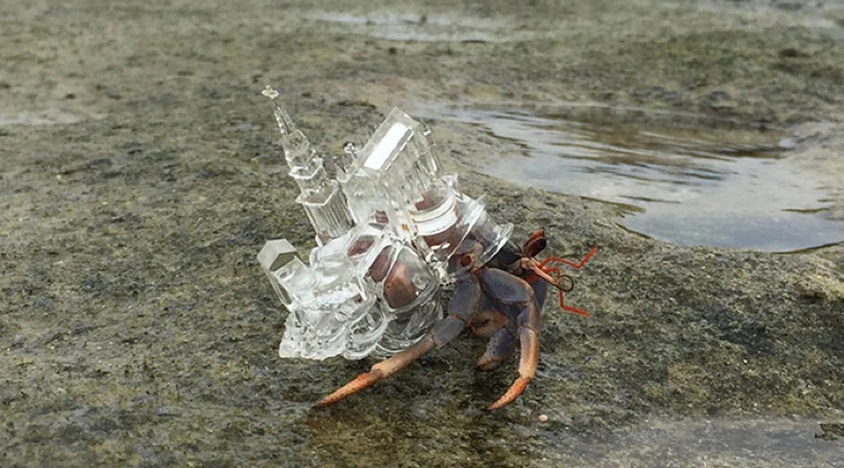 辻希美、中学生・長男からの“お願い”に「ダメ！」「怖い怖い」　視聴者に呼びかけ「どうするのが正解なんだろう」