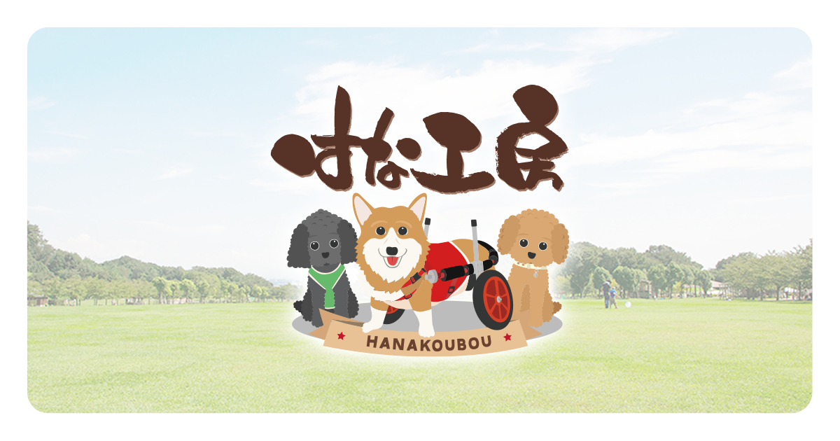 はな工房の、はなちゃん♪