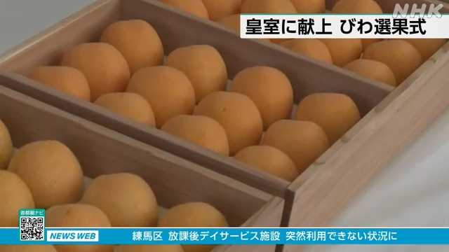 皇室献上の「びわ」の選果式 千葉 南房総｜NHK 千葉県のニュース