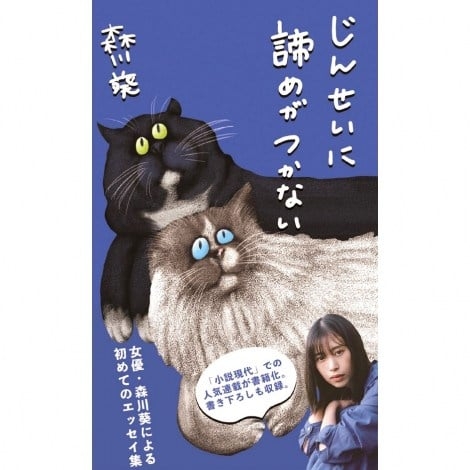 【画像】色んな森川葵さんが観たい！【アンチ禁止】