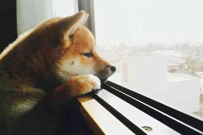 結婚していても孤独な人いますか？【既婚ぼっち】part5