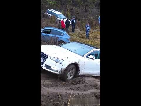 #AUDI vs #MERCEDES vs VW vs #KIA vs #SUBARU ? #shorts | offroad 4x4 | suv off roading | mudding | vs - YouTube