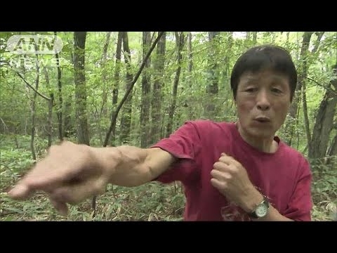 釣りの最中にクマが・・・空手の高段者が“素手”で撃退(16/09/02) - YouTube