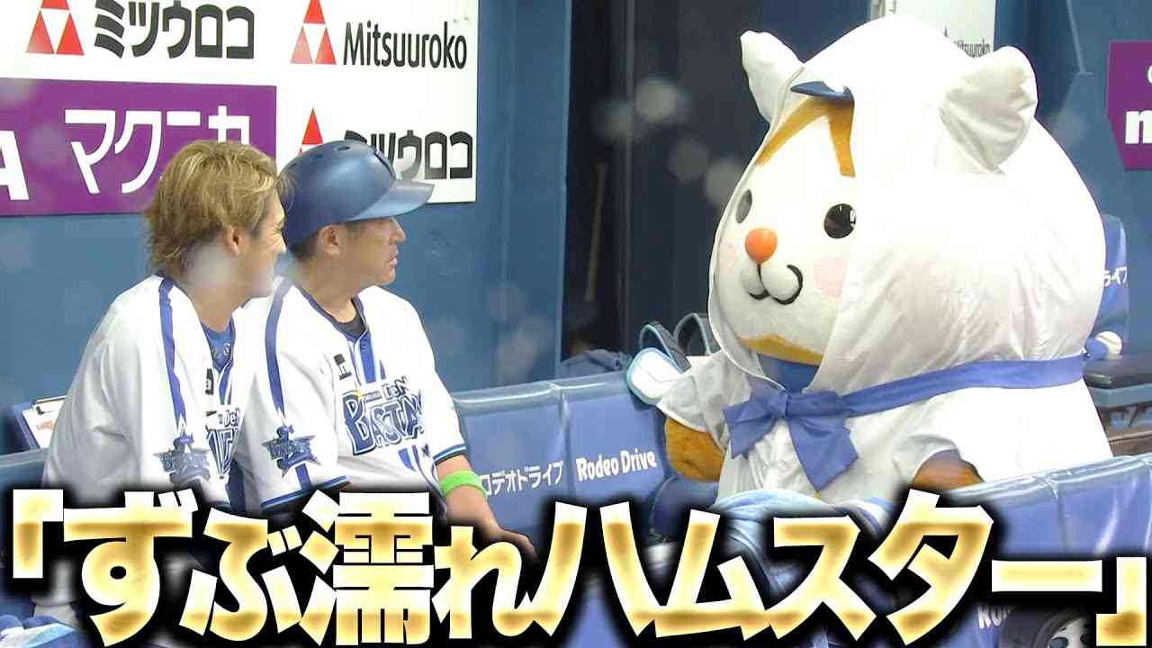【かわよ】雨のヨコハマ『DB.スターマン・スタッフが最大限の力を尽くすも…』 - YouTube