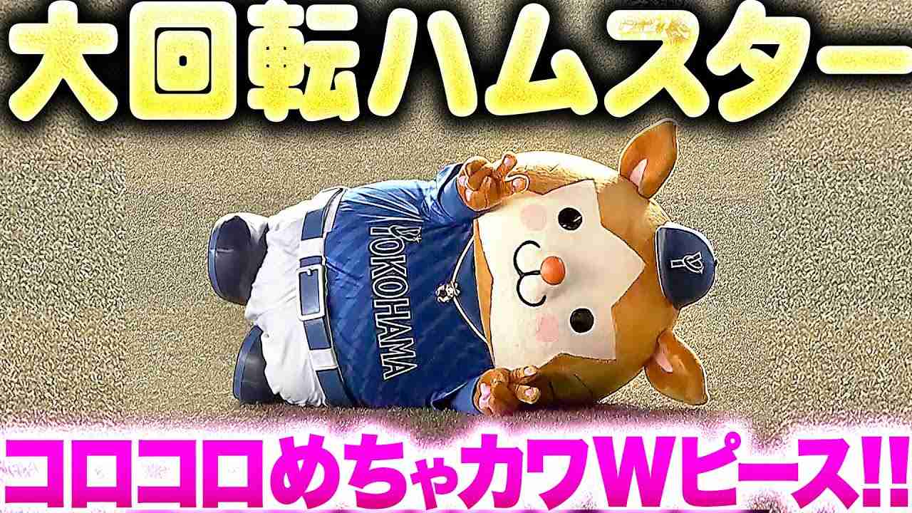 【大回転ハムスター】DB.スターマン『猛然ダッシュ → コロコロめちゃカワWピース！』 - YouTube