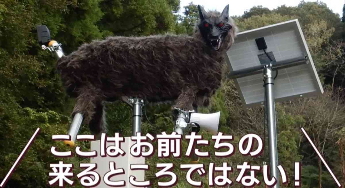 「思いのほか効果が」クマ対策の新兵器　初めてヒグマ追い払う瞬間捉える　さらなる秘策も　北海道奈井江町