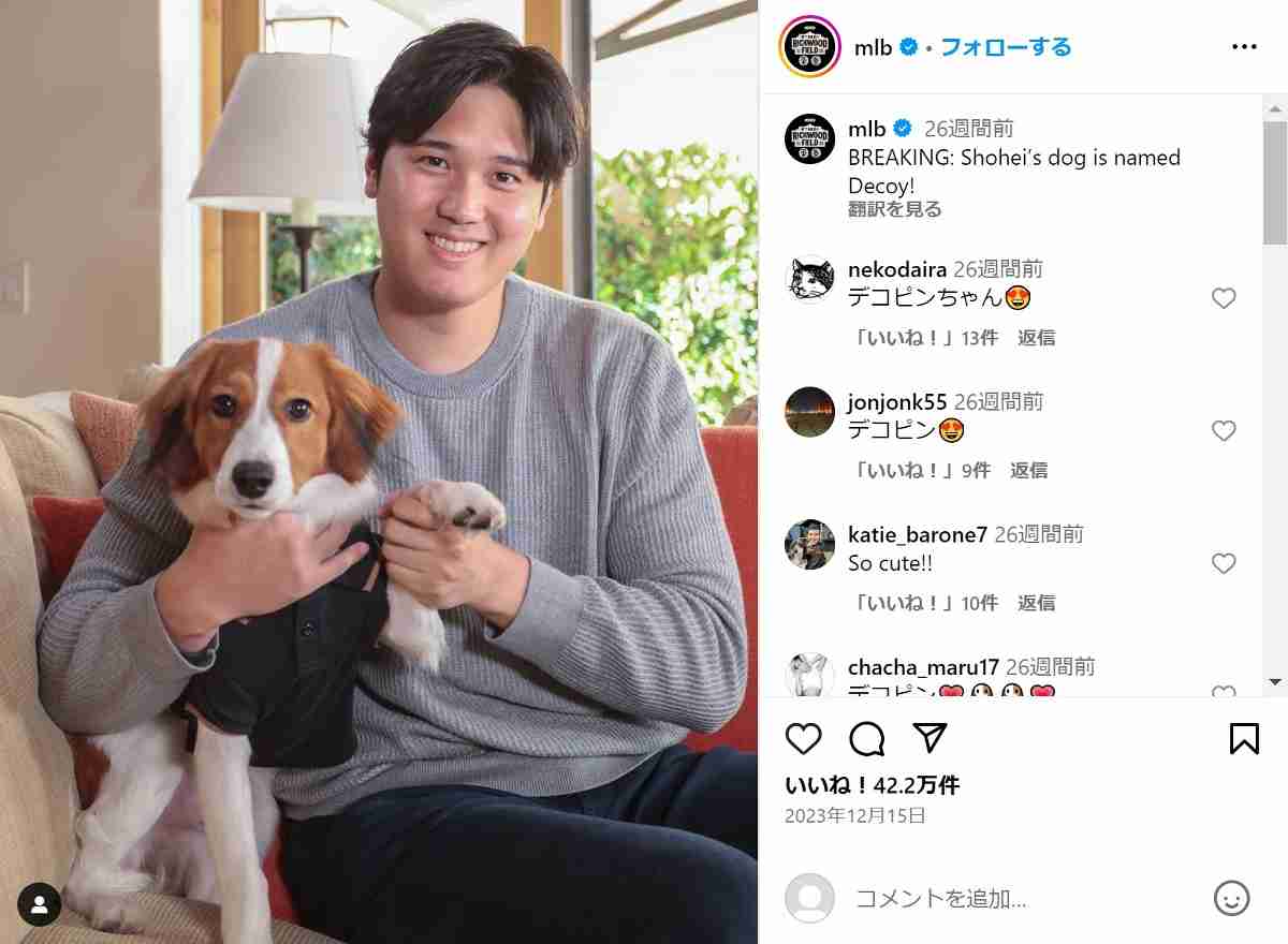 大谷翔平、久々の愛犬“デコピン”更新をファン大喜び「今日誕生日だったの!!?」　ホラー感ある“ひょっこり”写真も