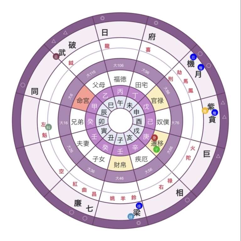 【占術】紫微斗数を勉強したい!