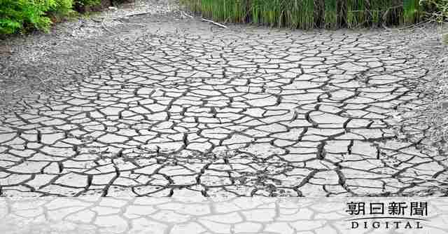 リニア工事原因か、岐阜・瑞浪で水位低下　JR東海、14カ所で確認 [岐阜県]：朝日新聞デジタル