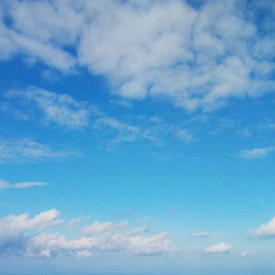 なかむらジュゲム on Twitter: 