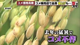 日本人の主食「コメ」の価格が急騰　専門家「主食用のコメの作付面積を減らしすぎた影響か」 | 愛知のニュース