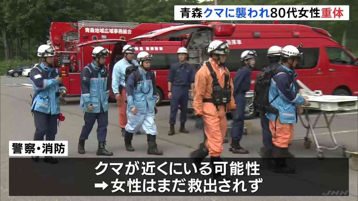 80代の女性がクマに襲われ意識不明の重体　まだ救出されず　青森市郊外の八甲田山系 | TBS NEWS DIG (1ページ)