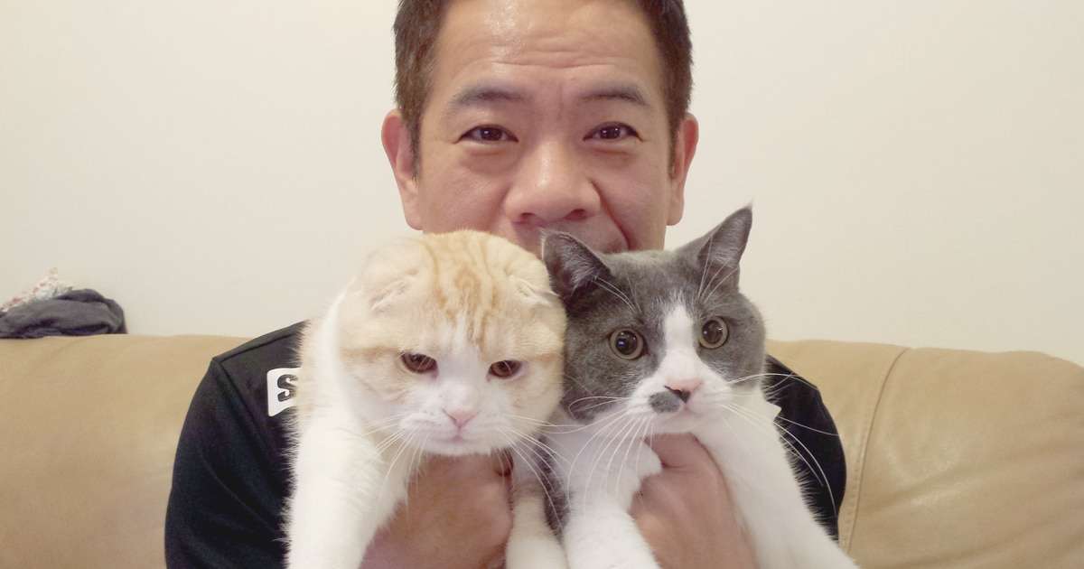 愛猫3匹とは「中学2年生の男の子に対するような感覚」ネコ科大好き芸人FUJIWARA原西の“猫がいる暮らし” | お笑い芸人の“うちの子”紹介