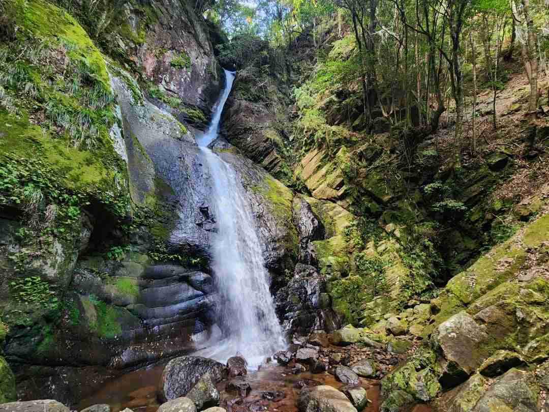2023 秋の滝遠征 今年も紀伊半島へ in 和歌山☆仁の滝・大谷の大滝 | 滝の音とともに～ゆかりんの滝めぐりブログ～
