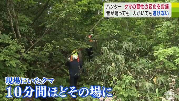 「捕獲か射殺しないと『人間は怖くないんだ』という遺伝子が残ってしまう」青森・クマによる女性死亡事故　救出に当たったハンターが警鐘「音を鳴らせばクマが離れる」過信しないで