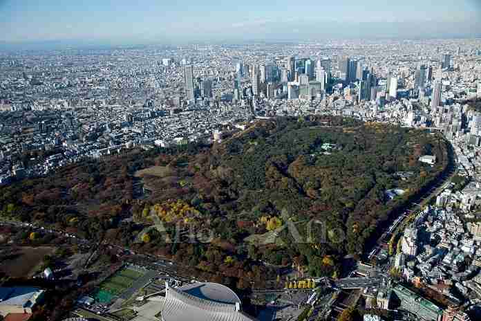 20代の約半数が関心…若者の“東京離れ”で一極集中は解消される？識者が指摘する最大のネック